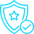 shield копия